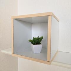 ディスプレイBOXの画像