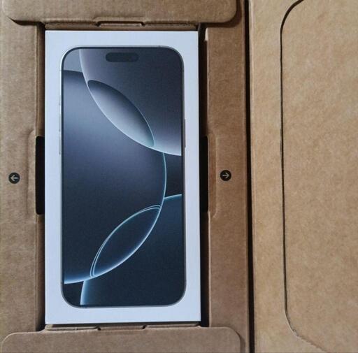 iPhone 16  Pro Max 256 白