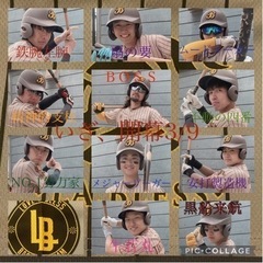 ⚾️草野球⚾️ 新チームメンバー大募集⚾️