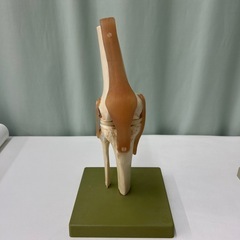 骨格模型4点
の画像