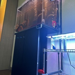 🐟【つり具】シマノ 09 アルテグラ4000【釣具地域最大高価買取