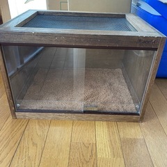 早めの取り引きできる方　
レオパ木製ケージ