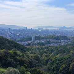 散歩、ハイキングしませんか？