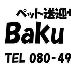 ペットタクシー【24時間365日対応】ご近所の移動　京都観…