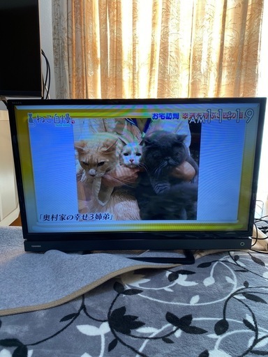 格安！早い者勝ち！即決！2017年式TOSHIBA REGZA液晶テレビ　32インチ