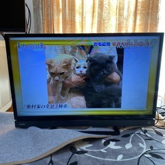 東芝 液晶テレビ 2017年製」の買取実績・相場-テレビ買取なら高く売れるドットコム