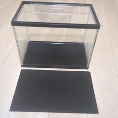 小型水槽の画像