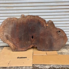 花梨 一枚板 原木 【未加工品】