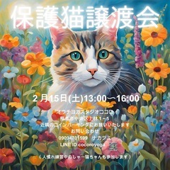 2.15（土）保護猫譲渡会のお知らせ