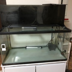 90センチ水槽一式