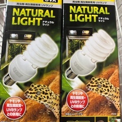 【値下げ】GEX エキゾテラ ナチュラルライト 26W 新品