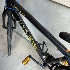 ルイガノ　自転車の画像