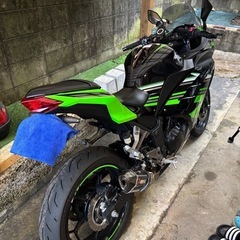 ninja250 KRT Edition 2016年式の画像