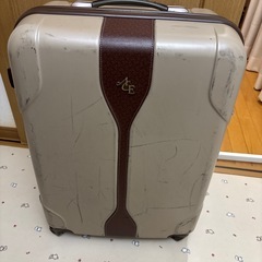 スーツケース中
