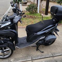 普通免許でOK！側車付軽二輪 トリシティ125㏄の画像