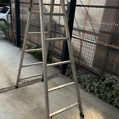 脚立貸します！🪜 - 名古屋市