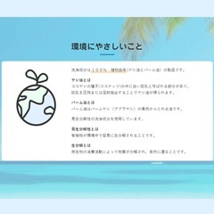 多目的洗剤 ココナツ 4L 肌と環境にやさしい洗剤 洗浄成分１００％植物由来(ヤシ油、パーム油）ココナツ洗剤の画像
