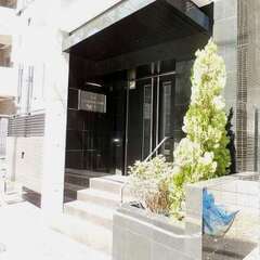 【下落合駅】【月約5万円】【週5日×朝2時間】マンション清掃/未経験者可～日払い可の画像