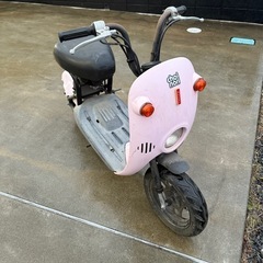 ちょい乗り　不動