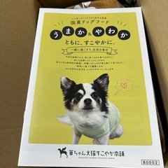 新品未開封　うまか　UMAKA ドッグフード 九州産華味鳥100の画像