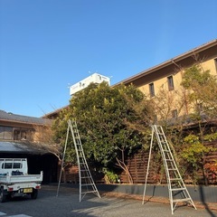 若い男性女性 60歳の方が活躍できる職場 植木屋本舗 募集(今女...