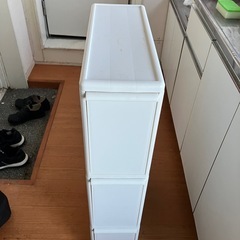 ゴミ箱 引き出し型 蓋付き 生ゴミ可 水洗い可