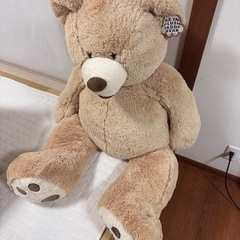 コストコクマのぬいぐるみの画像