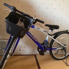 【決定しました】自転車　子供用マウンテンバイク　男の子カラー　2...