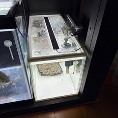 水槽　濾過器　LEDライトセットの画像