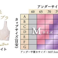 2枚セット　
ふわっとマシュマロブラ の画像