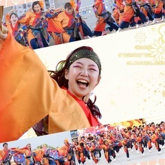 鳴子踊りチームひなた🌟体験会やるよー！！ - その他