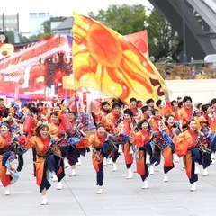 鳴子踊りチームひなた🌟体験会やるよー！！ - メンバー募集