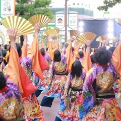 鳴子踊りチームひなた🌟体験会やるよー！！ - 名古屋市