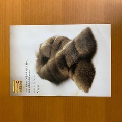 525 着物 ロシアンセーブルチョーカーの画像