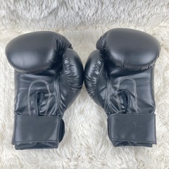 【受け渡し決定しました】 マーシャルワールド キック ボクシンググローブ 10oz Lサイズ 黒の画像