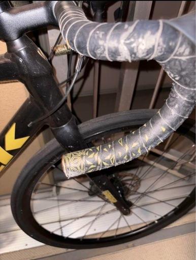 TREK DOMANE AL2disc