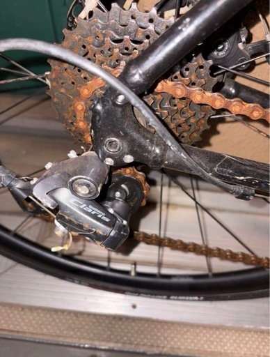 TREK DOMANE AL2disc
