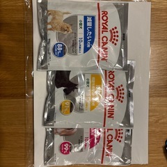 ROYAL CANIN 試供品