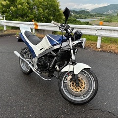 vtz250の画像