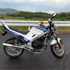 vtz250の画像