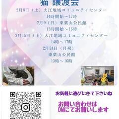 保護😺ニャン🐾御縁繋ぐ🩷譲渡会