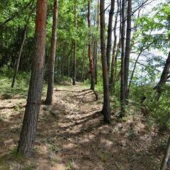 福島市渡利絵馬平　山林付き住宅地 - 土地販売/土地売買