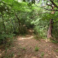 福島市渡利絵馬平　山林付き住宅地 − 福島県