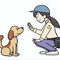 犬のしつけ、犬の散歩、ドッグトレーナー