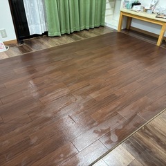 カーペット　明日限定無料【2/13】
