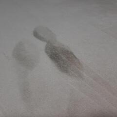 ラグ　カーペットの画像