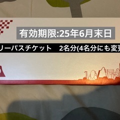 富士急ハイランド　フリーパスチケット大人2人分