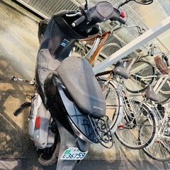 ホンダDIO