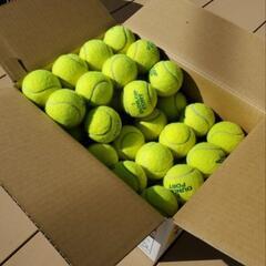 テニスボール　DUNLOP　51球