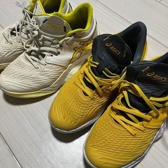 2足セットasics アンプレアルスロー　25cm　